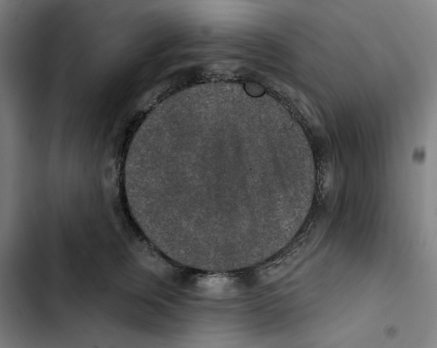 X0000102360759200808291225