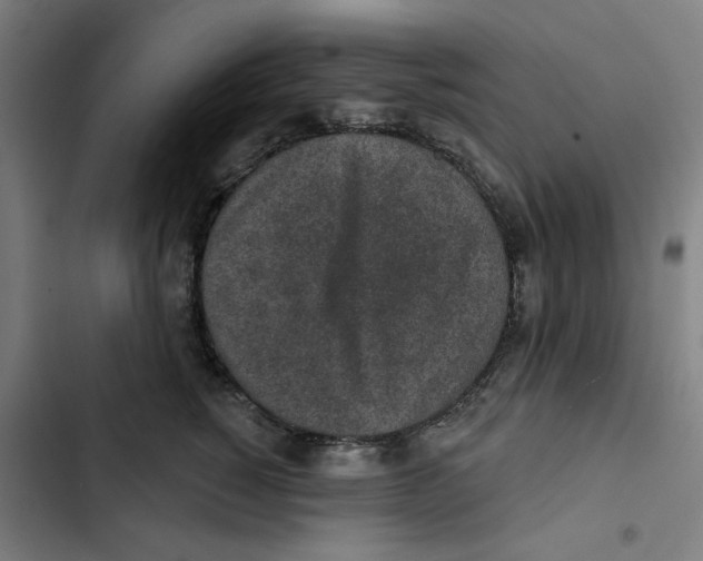 X0000102360760200808291225