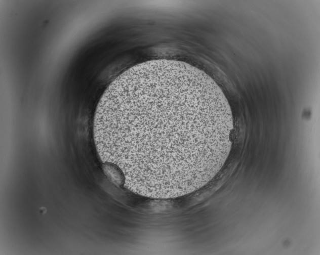 X0000102360762200808291225