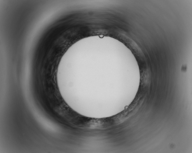 X0000102360764200808291225