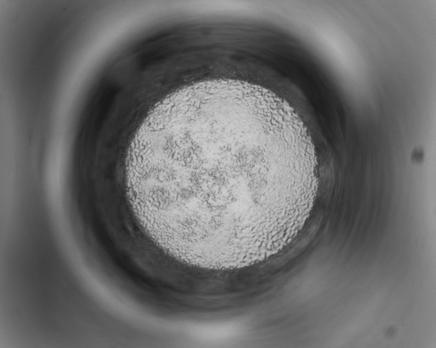 X0000102360765200808291225