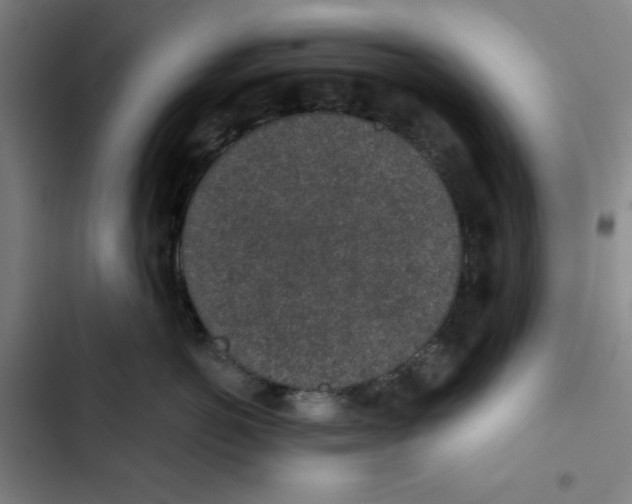 X0000102360766200808291225