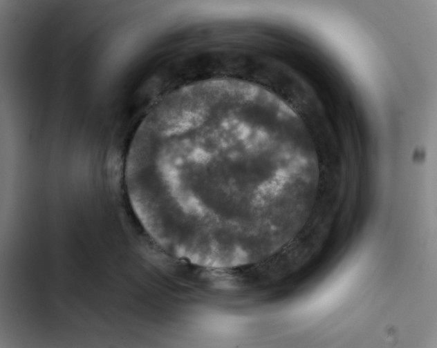 X0000102360767200808291225