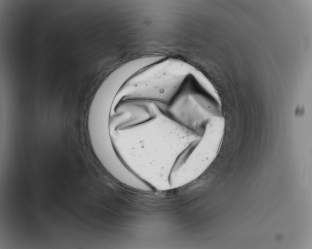 X0000102360768200808291225