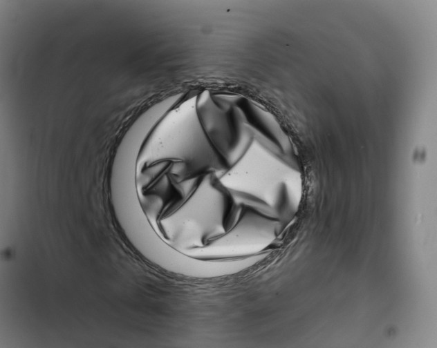 X0000102360769200808291224