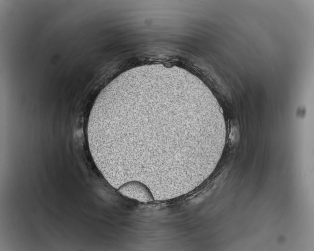 X0000102360771200808291224