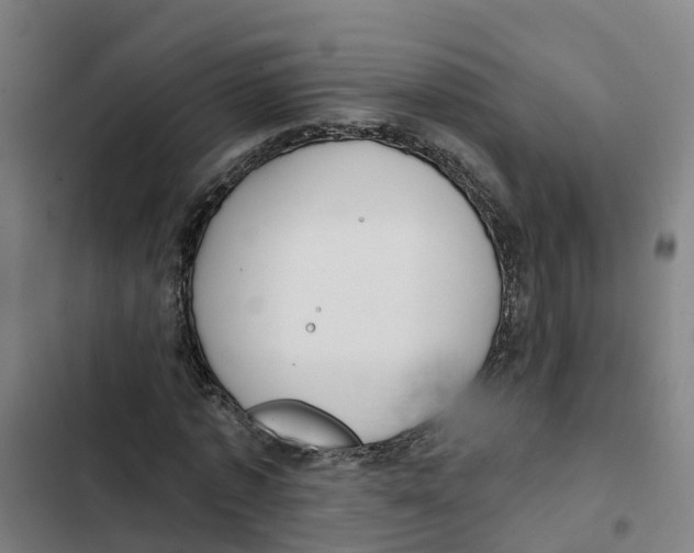 X0000102360773200808291224