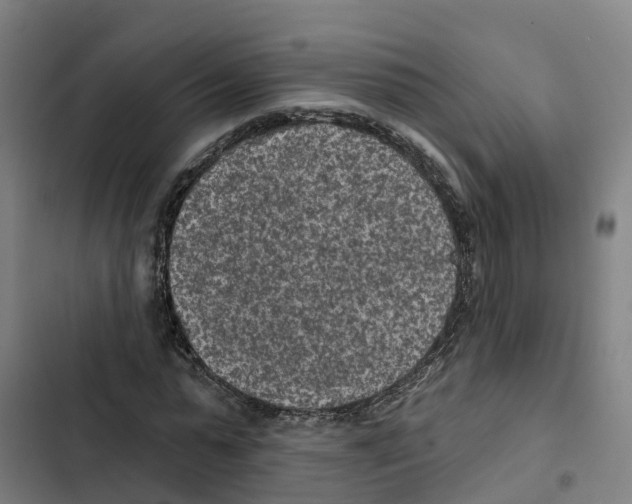 X0000102360775200808291224