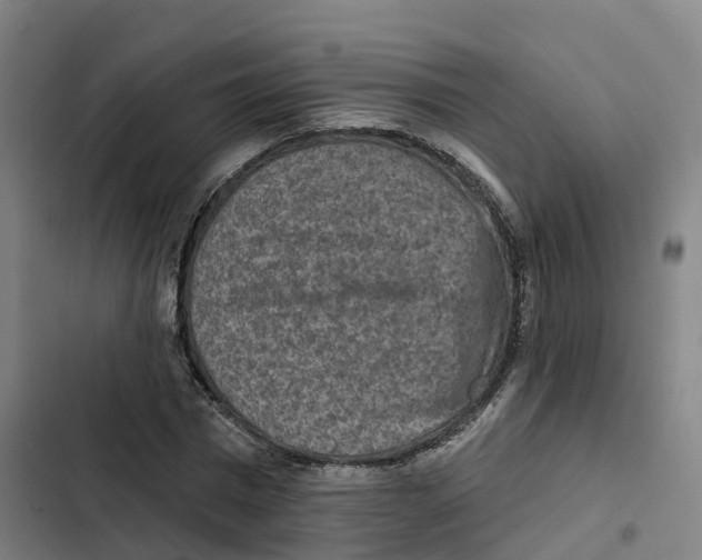 X0000102360777200808291224