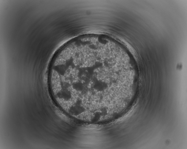 X0000102360779200808291224