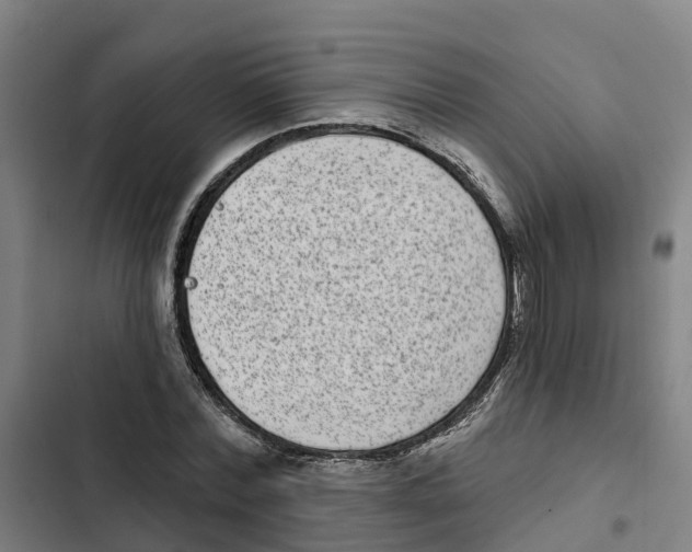 X0000102360780200808291224