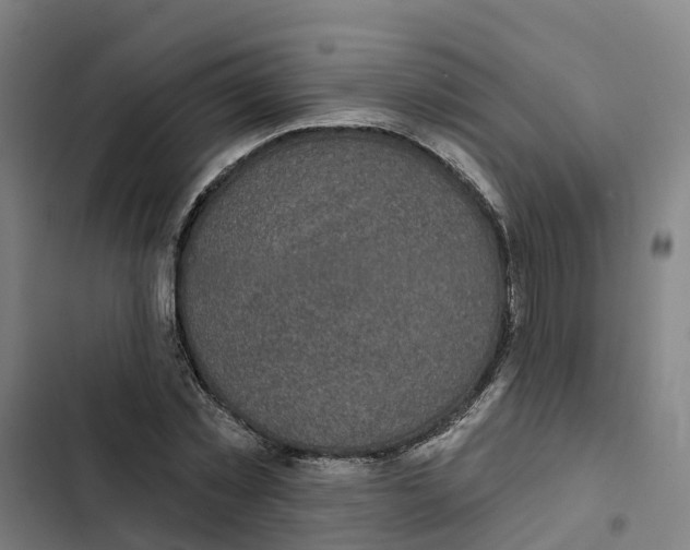 X0000102360781200808291224