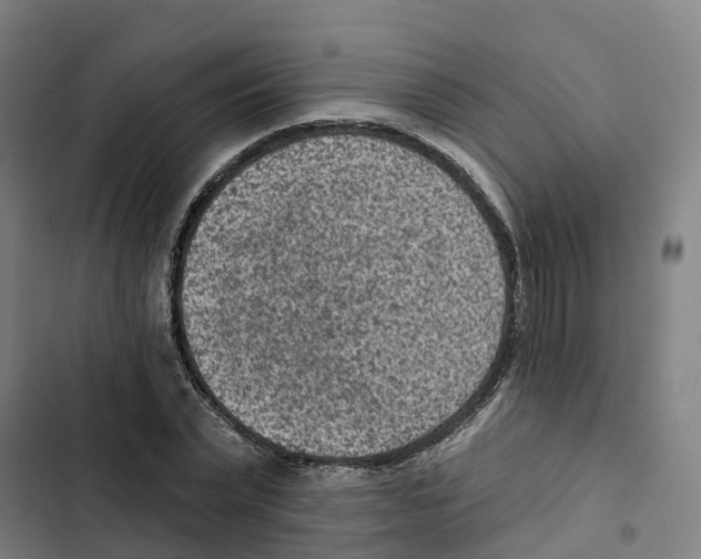 X0000102360783200808291224