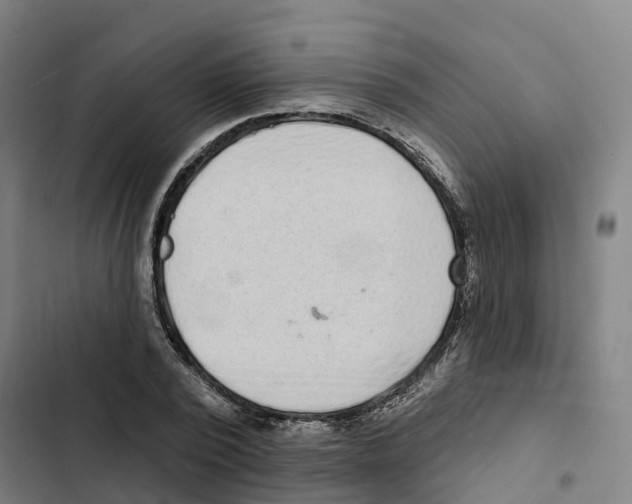 X0000102360784200808291224