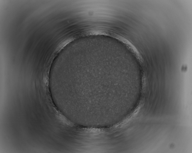 X0000102360785200808291224