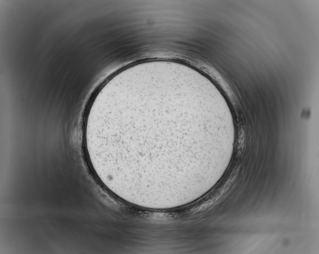 X0000102360787200808291224