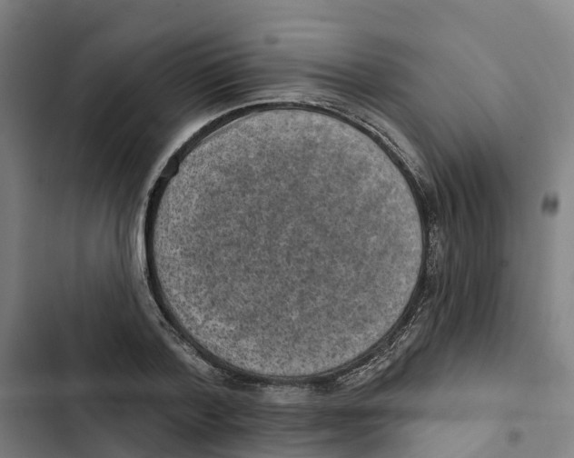X0000102360788200808291224