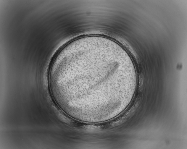 X0000102360789200808291224