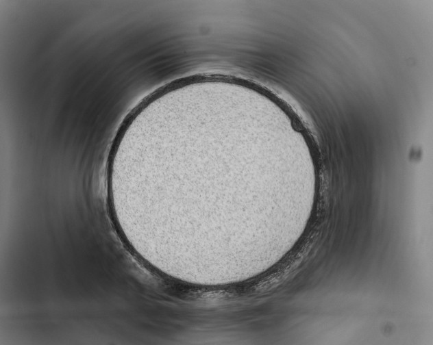 X0000102360791200808291224