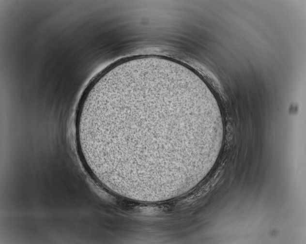 X0000102360792200808291224