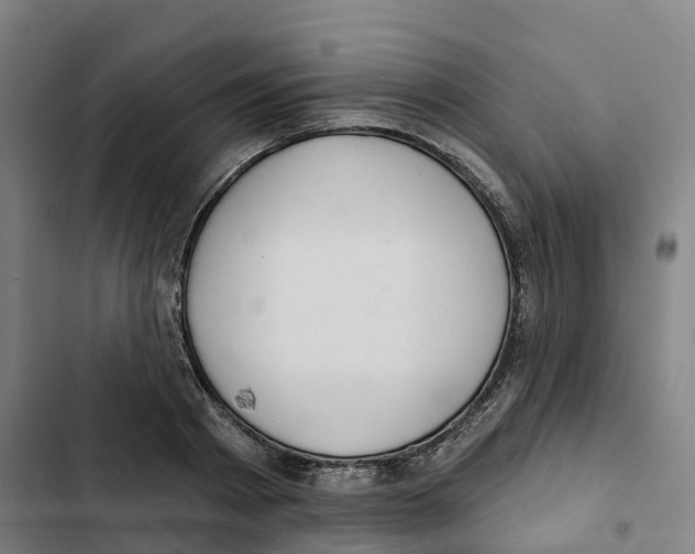 X0000102360793200808291224