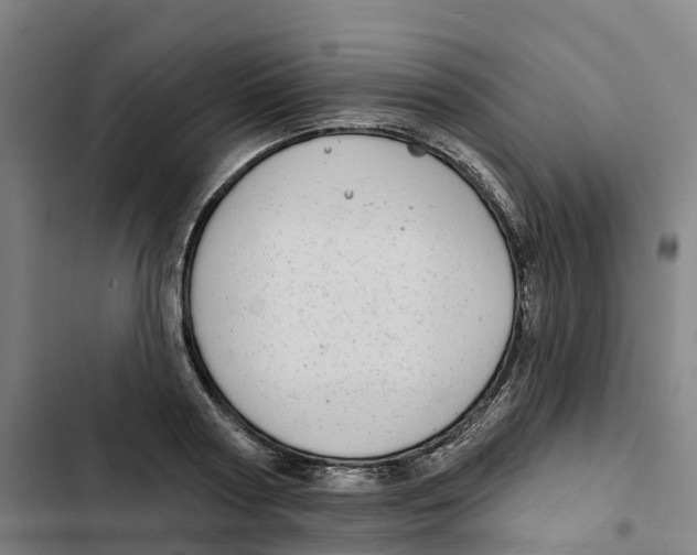 X0000102360794200808291224