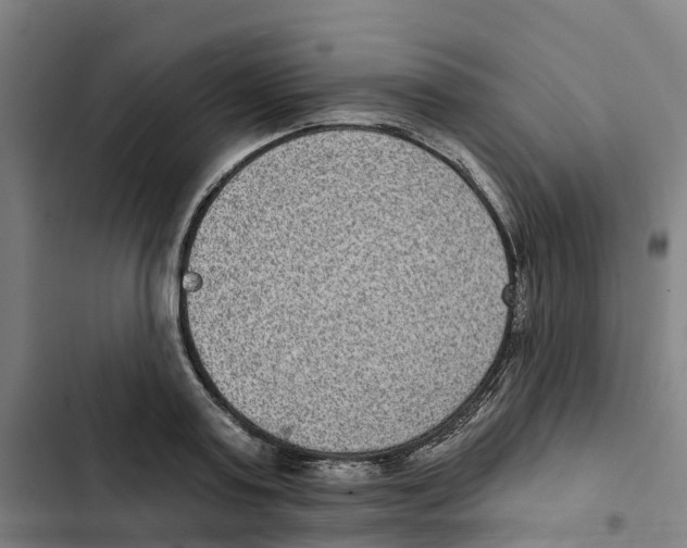 X0000102360795200808291224