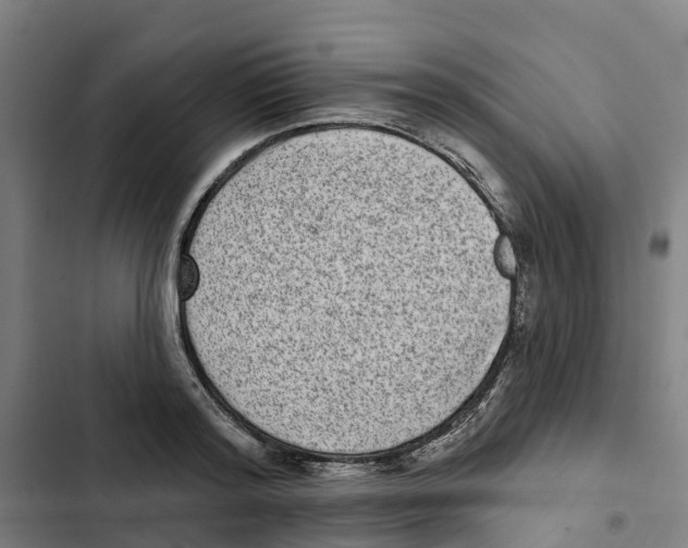 X0000102360796200808291224