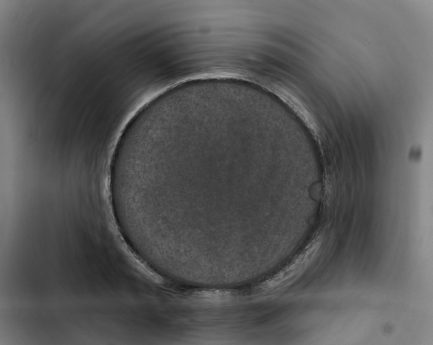 X0000102360797200808291224