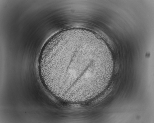 X0000102360798200808291224