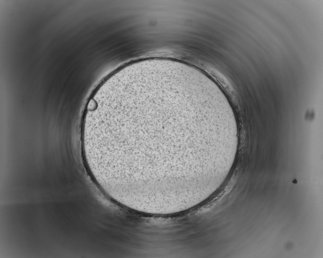 X0000102360800200808291224