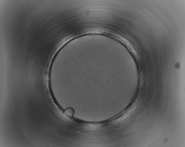 X0000102360802200808291224