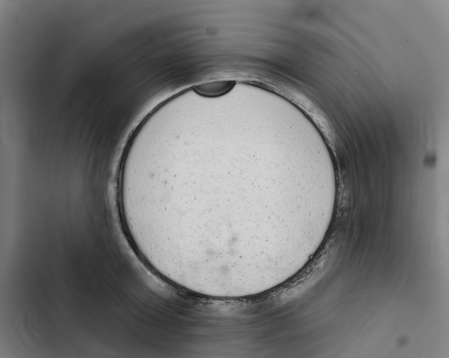 X0000102360803200808291224