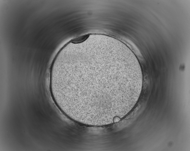 X0000102360804200808291224