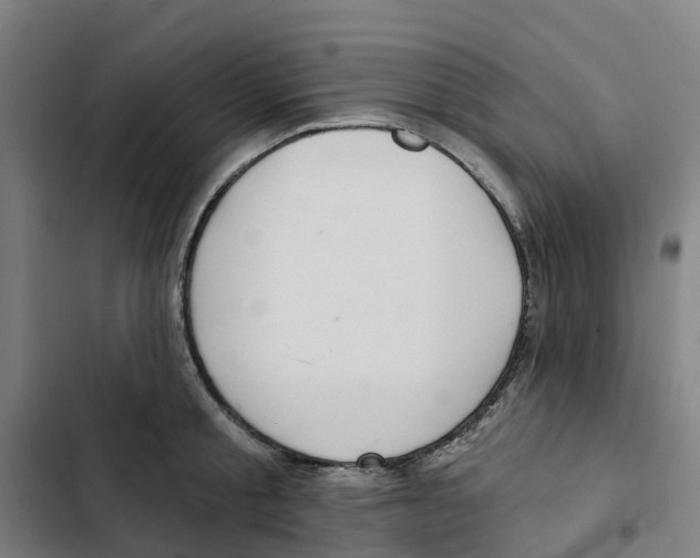 X0000102360805200808291224