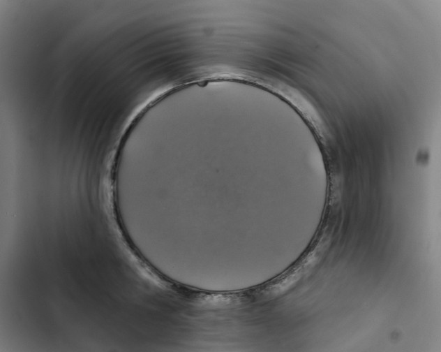 X0000102360806200808291224