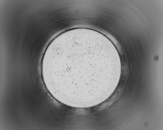 X0000102360807200808291224