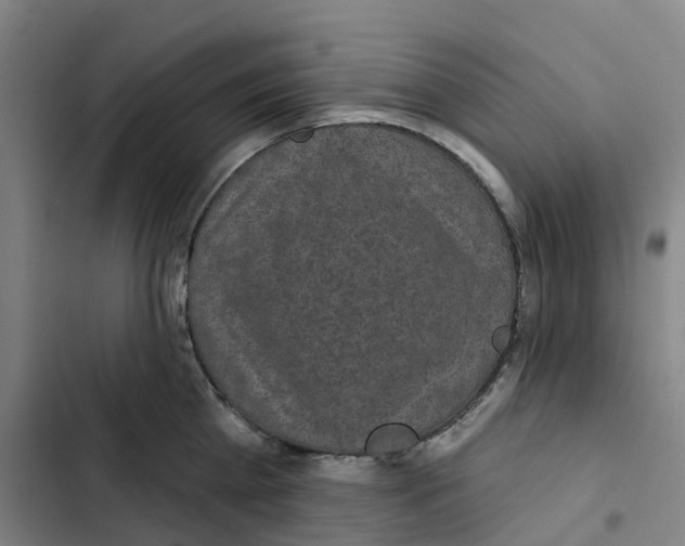 X0000102360809200808291224