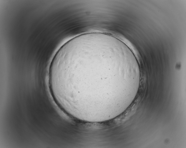X0000102360811200808291224