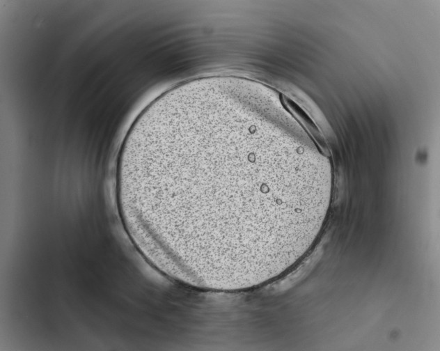 X0000102360812200808291224