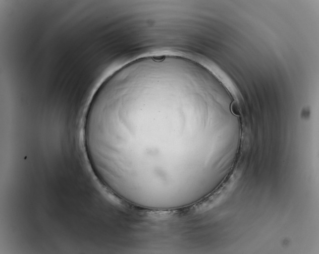 X0000102360813200808291224