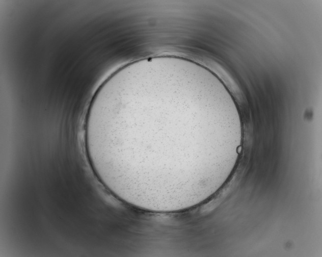 X0000102360814200808291224