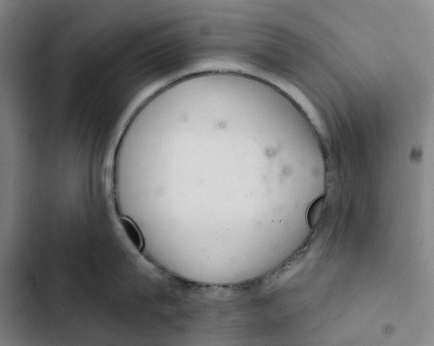 X0000102360815200808291224