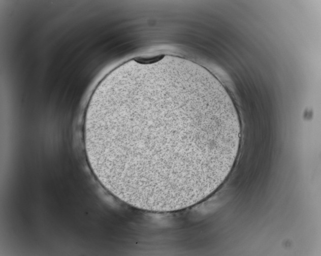 X0000102360816200808291224