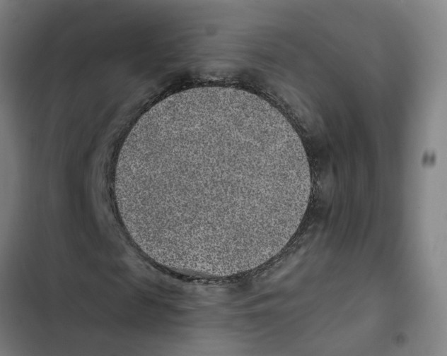 X0000102360817200808291223