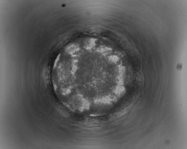 X0000102360818200808291223
