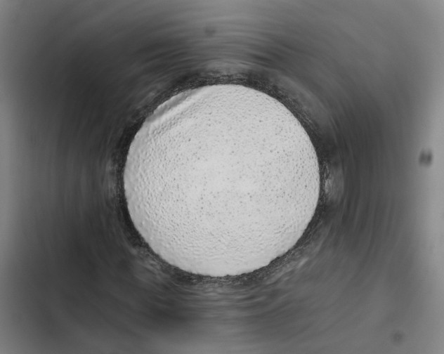 X0000102360819200808291223