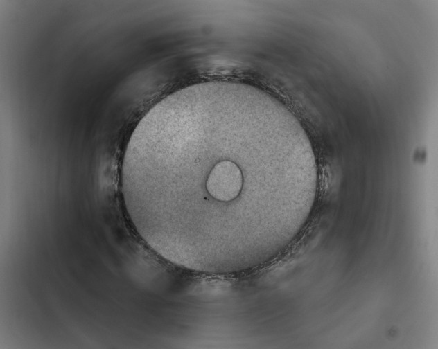 X0000102360820200808291223