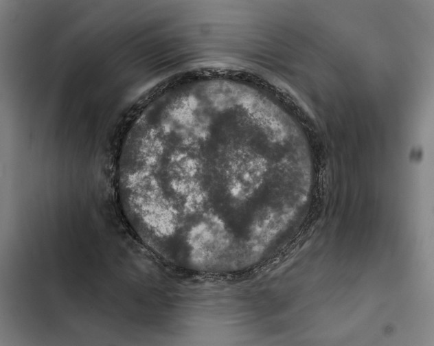X0000102360822200808291223