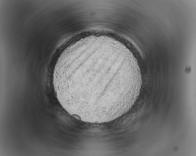 X0000102360823200808291223